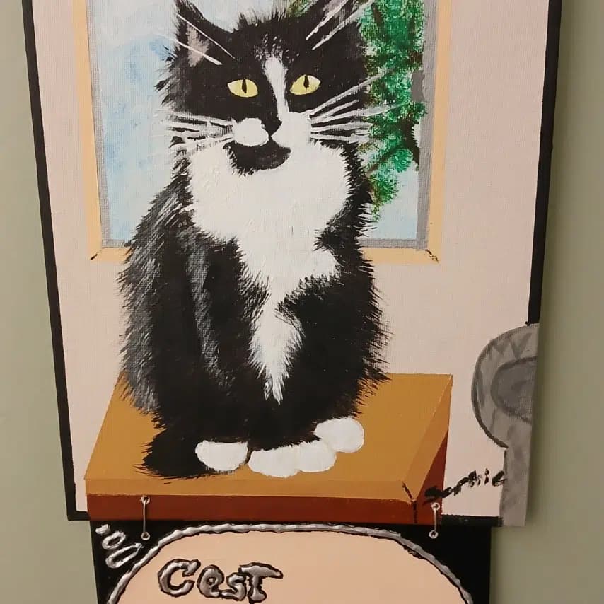 读者投稿的猫咪画作
