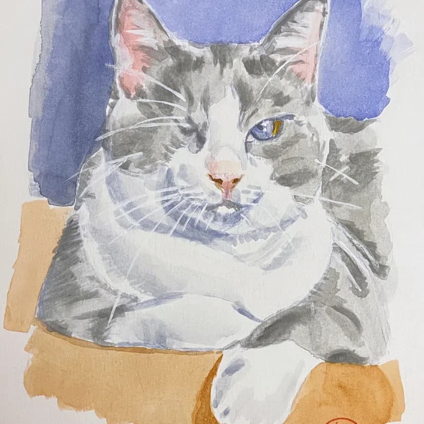读者投稿的猫咪画作