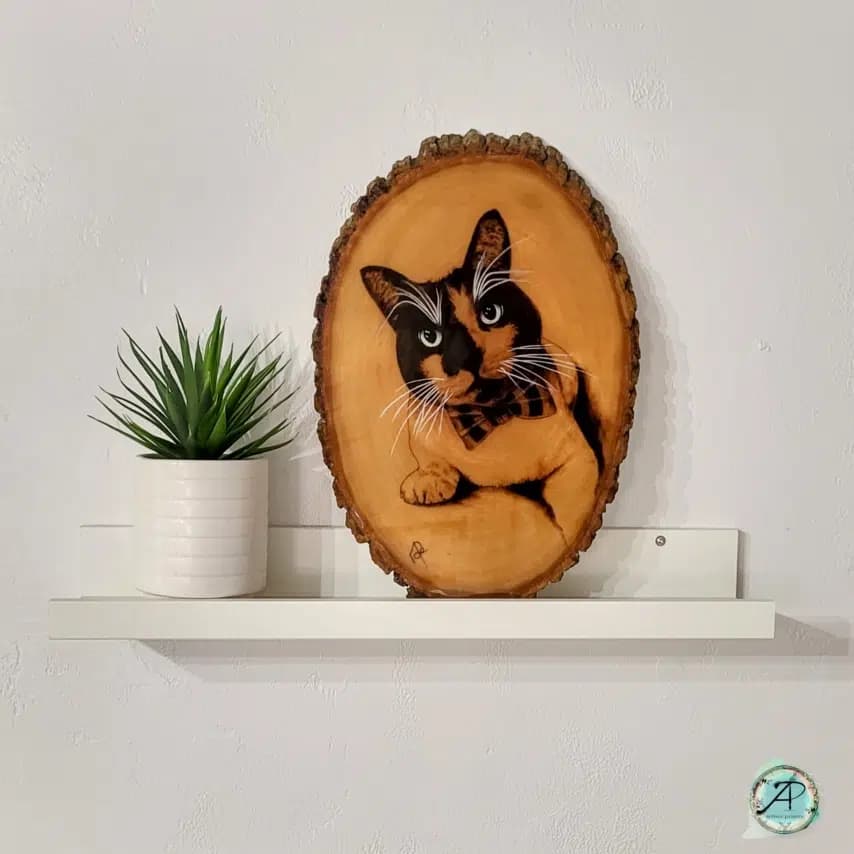 读者投稿的猫咪画作