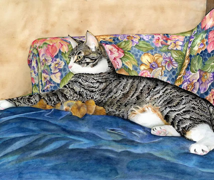 读者投稿的猫咪画作