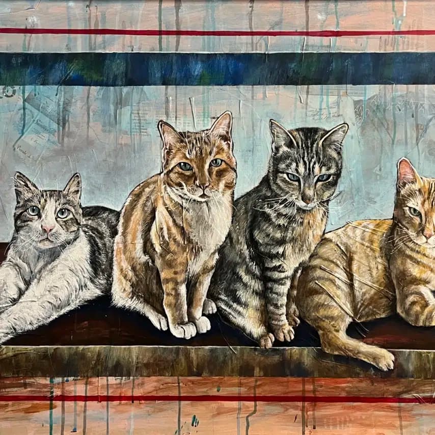 读者投稿的猫咪画作