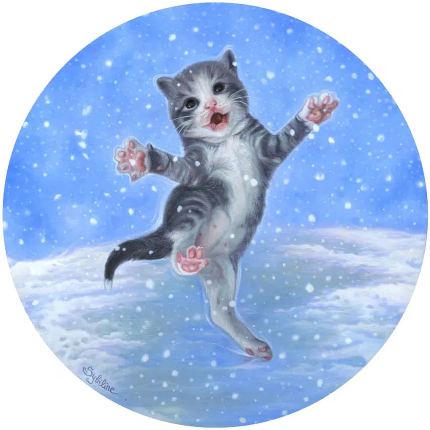 读者投稿的猫咪画作