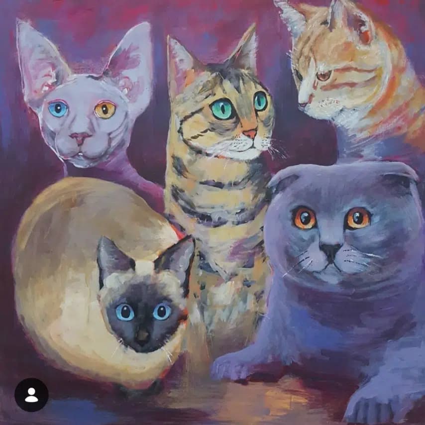 读者投稿的猫咪画作