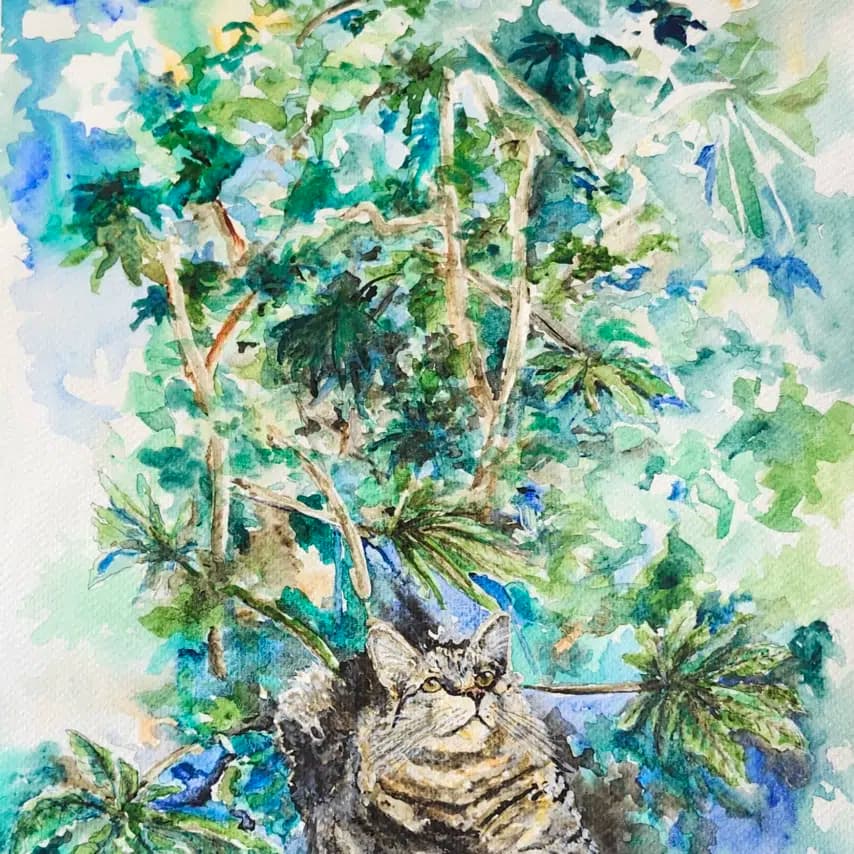 读者投稿的猫咪画作