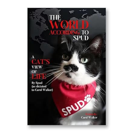 这一条讲的是:The World According to Spud: A Cat's View of Life