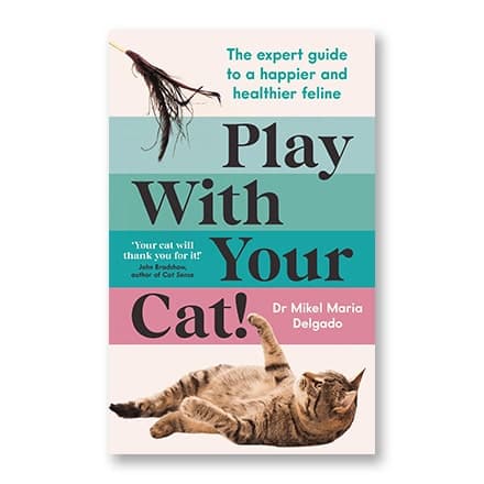 这一条讲的是:Play With Your Cat