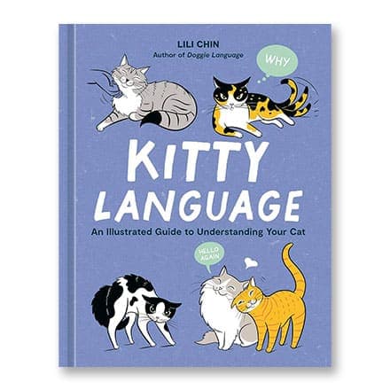 这一条讲的是:Kitty Language