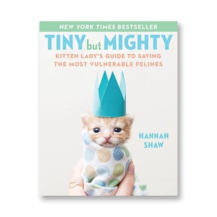 这一条讲的是:Tiny But Mighty