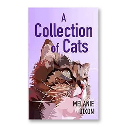 这一条讲的是:A Collection of Cats