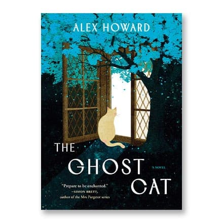 这一条讲的是:Ghost Cat