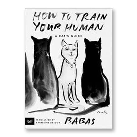 这一条讲的是:How to Train Your Human