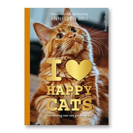 这一条讲的是:I love happy cats