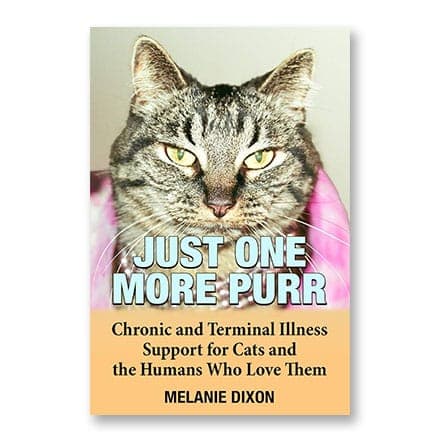 这一条讲的是:Just One More Purr