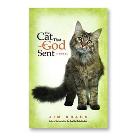 这一条讲的是:The Cat That God Sent