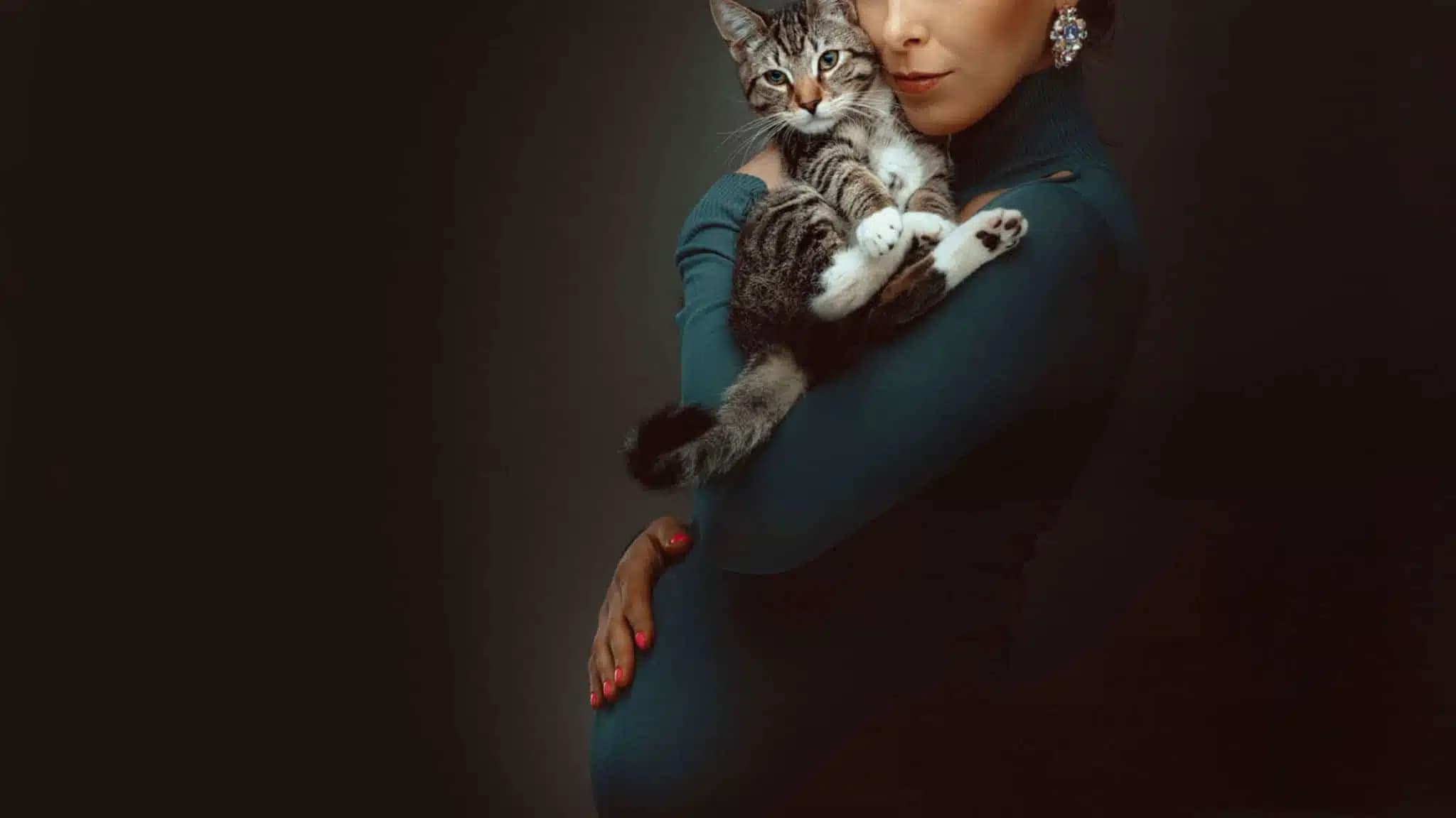 这一篇讲的是：怀孕的人和猫，该怎么办