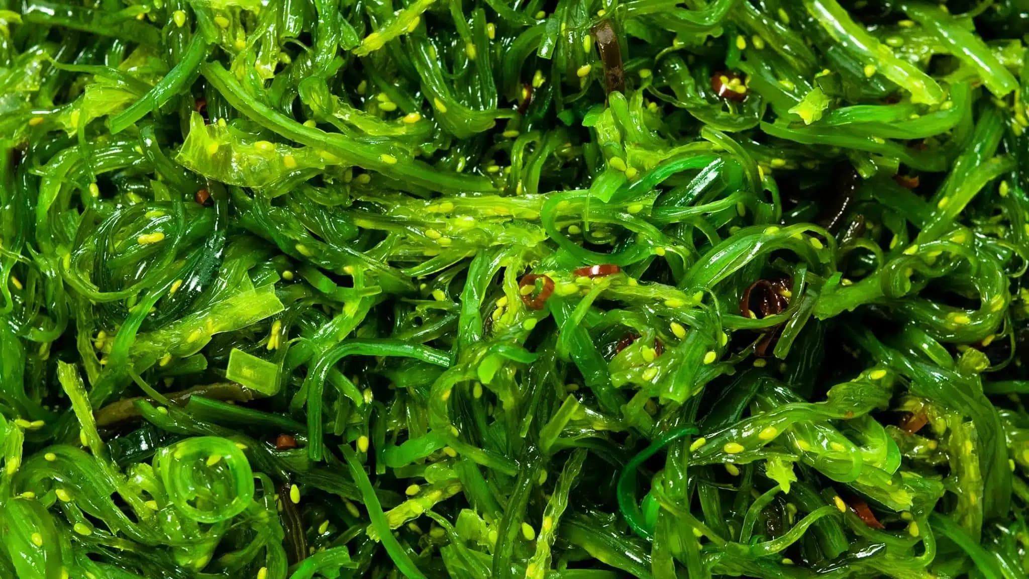 这一篇讲的是：裙带菜：一味在水里长的补给