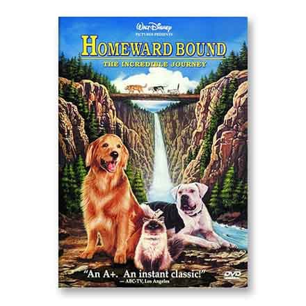 这一条讲的是:Homeward Bound