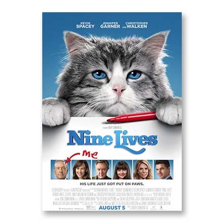 这一条讲的是:Nine Lives