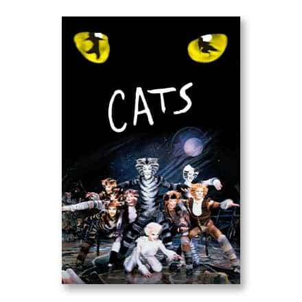 这一条讲的是:Cats