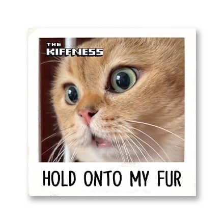 这一条讲的是:Hold onto my fur