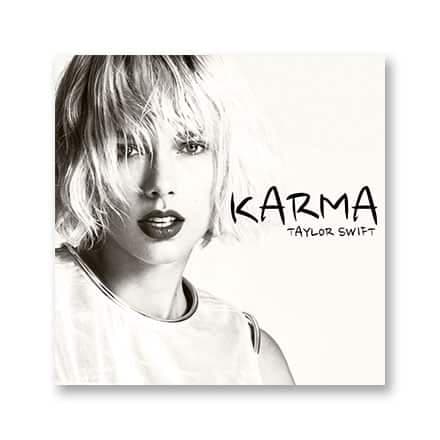 这一条讲的是:Karma