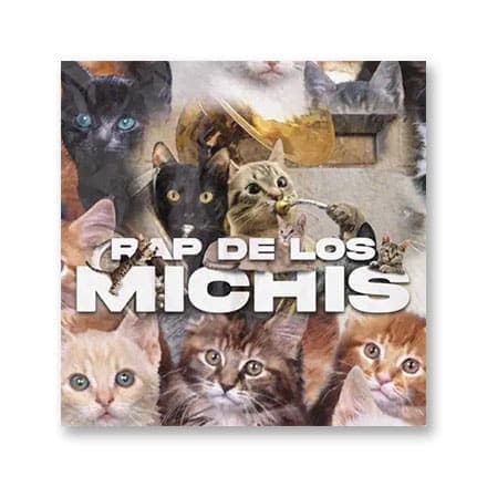 这一条讲的是:Rap de los michis