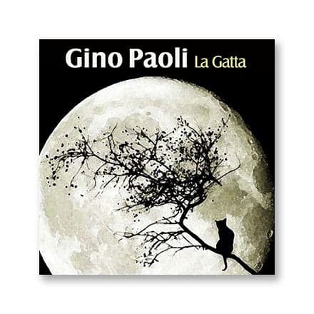 这一条讲的是:La gatta