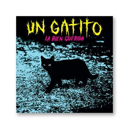 这一条讲的是:Un gatito